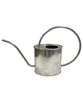 Gardener Select Metal Oval Watering Can, Galvanized, 0.5 Gallon