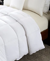Cheer Collection Gel Fiber Filled Luxurious Comforter, Twin