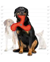 DuraForce Boomerang ZigZag Red-Red, Dog Toy