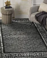 Safavieh Adirondack Silver and 6' x 9' Area Rug