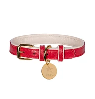 Pet Dog Collar - Melting Hearts