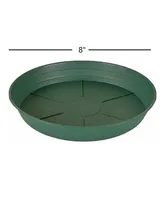 Hydrofarm HYFHGS8P Premium Saucer Round Green, 8in Pack of 1