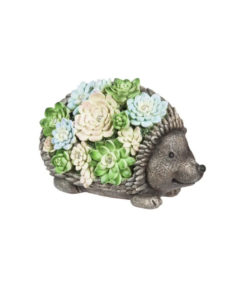 Evergreen Solar Resin Succulent Hedgehog