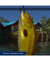 Nintendo Legendary Fishing