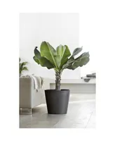 Ecopots Amsterdam Modern Round Indoor and Outdoor Planter