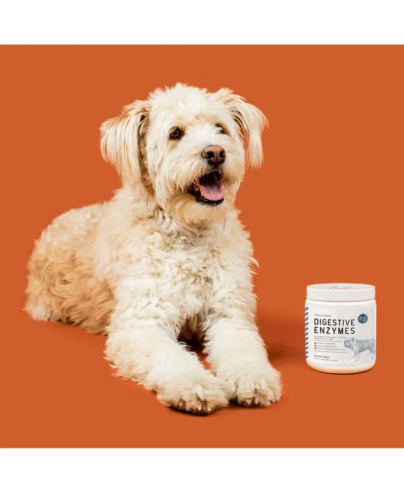 Digestive Enzymes Supplement for Dogs