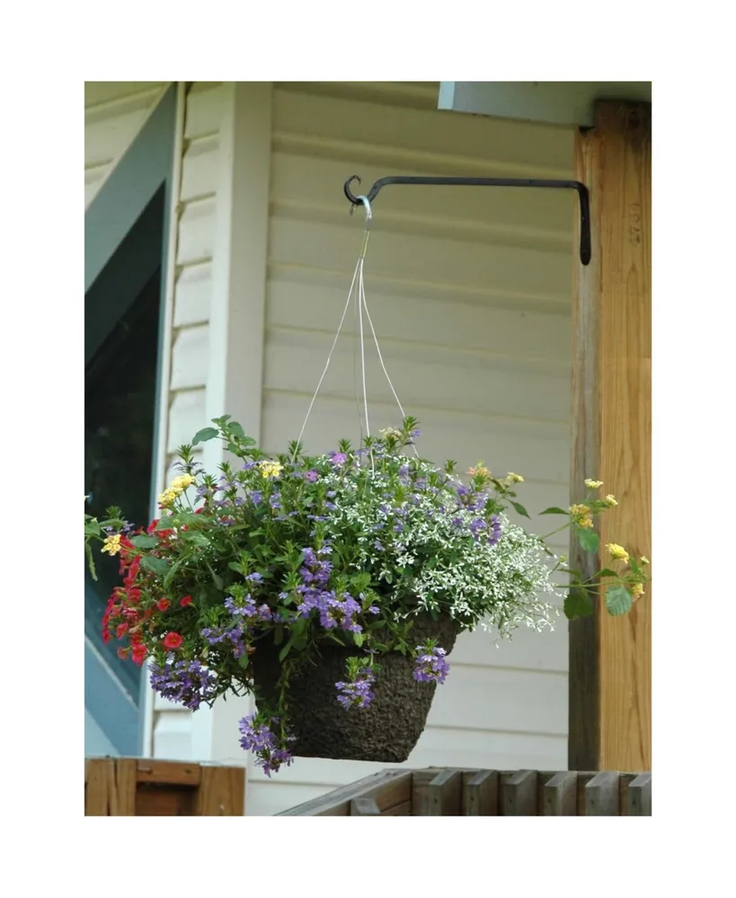The Hookery Hookery C19 Straight, Upturned Metal Hanger, 15in