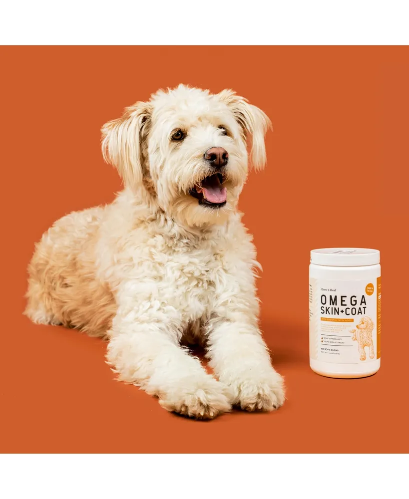 MaxProtect Omega Skin + Coat, Dog Supplement & Multivitamin, Improve Joints, Digestion, Skin & Fur