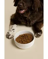 Waggo Dog Cling Silicon Bottom Bowl - Light Grey