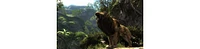 Cabela's Dangerous Hunts 2013 - Nintendo Wii-u