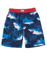 Rokka&Rolla Toddler Boys Swim Trunks with Mesh Liner Upf 50+