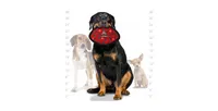 Tuffy Ultimate Odd Ball Red Paw