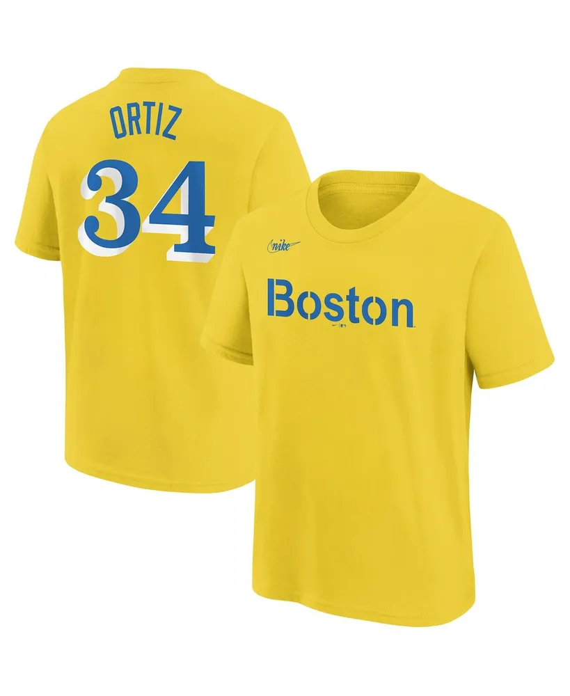 Lids David Ortiz Boston Red Sox Nike 2022 Hall of Fame Essential T-Shirt