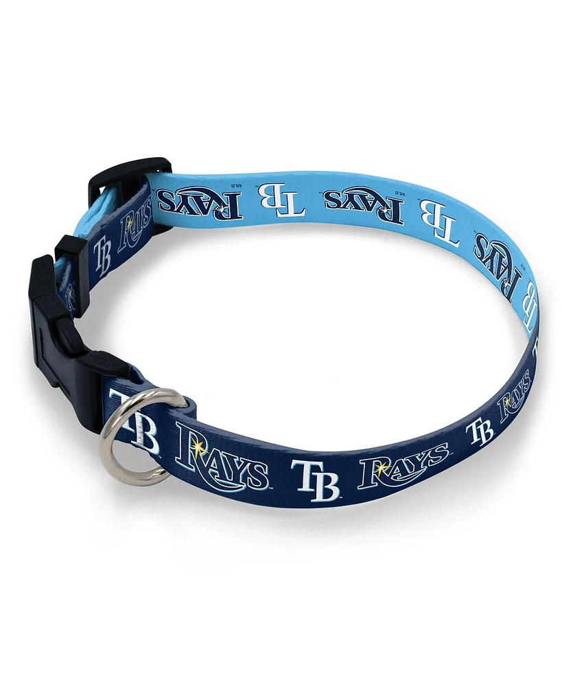 Wincraft Tampa Bay Rays Medium Adjustable Pet Collar