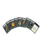 For Root the Role-Playing Game, Equipment Deck 55 Card Deck Supplement