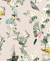 Joules Handford Garden Birds Wallpaper