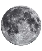 Masterpieces 1000 Piece Round Jigsaw Puzzle for Adults - The Moon
