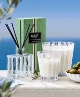 Nest New York Santorini Olive & Citron Classic Candle, 8.1 oz.