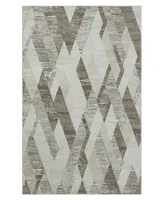 Lr Home Bienne BIENA82287 4' x 6' Area Rug