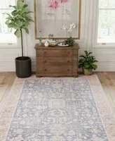 Bb Rugs Select Washable Slt204 Area Rug