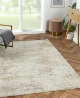 Lr Home Bienne BIENA82283 5' x 7'11" Area Rug