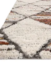 Loloi Levitt Shag Lev--05 4' x 6' Area Rug