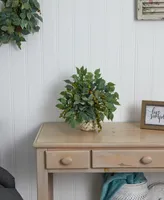 Nearly Natural Mixed Ficus, Fittonia and Berries Artificial Plant in Floral Vase