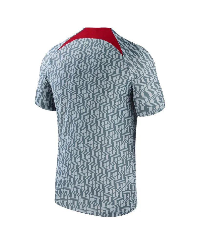 Men's Nike Gray Liverpool 2023 Pre-Match Performance Top