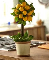 Nearly Natural Lemon Ball Artificial Topiary Arrangement