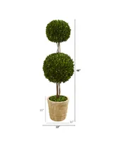 Nearly Natural 4ft. Preserved Boxwood Double Ball Topiary Tree in Planter