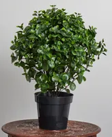 Nearly Natural 28" Peperomia Plant Uv Resistant