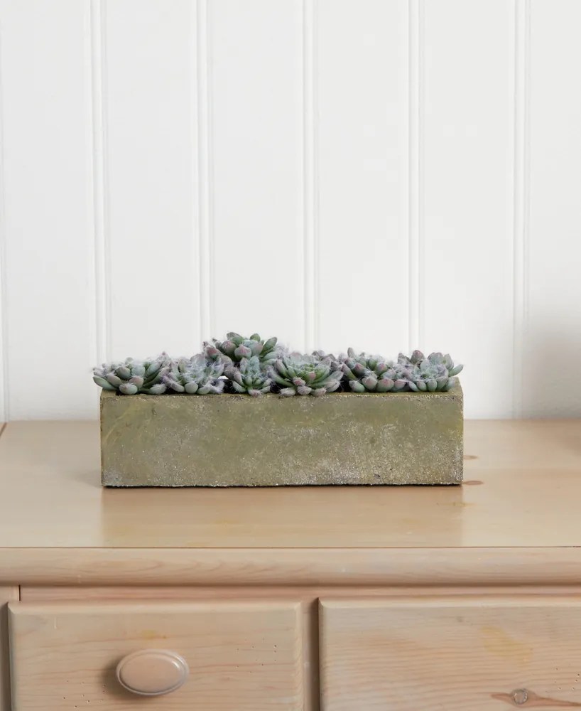 Nearly Natural Succulent Garden w/Textured Concrete Planter