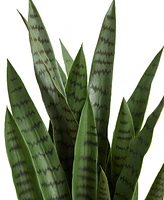 Nearly Natural 38-In. Sansevieria Artificial Plant