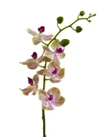 Nearly Natural 29-In. Phalaenopsis Orchid Artificial Flower, Set of 4