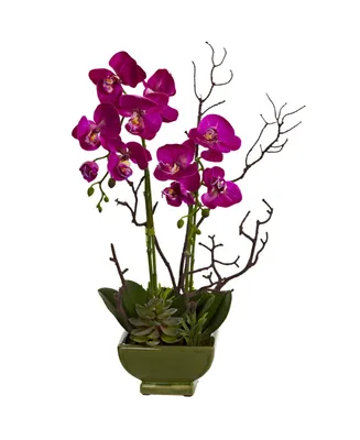 Nearly Natural Orchid and Succulent Floral Arrangement