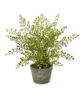 Nearly Natural Maiden Hair Artificial Plant in Decorative Planter