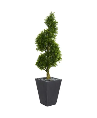 Nearly Natural 5' Boxwood Spiral Topiary Artificial Tree in Slate Planter Uv Resistant