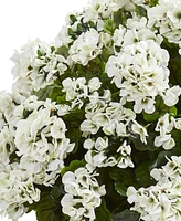 Nearly Natural Geranium Artificial Plant in Slate Plater Uv Resistant