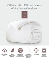 Ella Jayne 100% Certified Rds All Season White Down Comforter