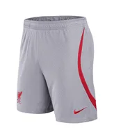 Men's Nike Gray Liverpool Strike Performance Shorts