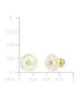 Children's Mother of Pearl & Crystal Flower Stud Earrings in 14k Gold