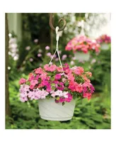 Akro Mils HSI10008A10 Euro Swirl Hanging Basket, White, 10-Inch