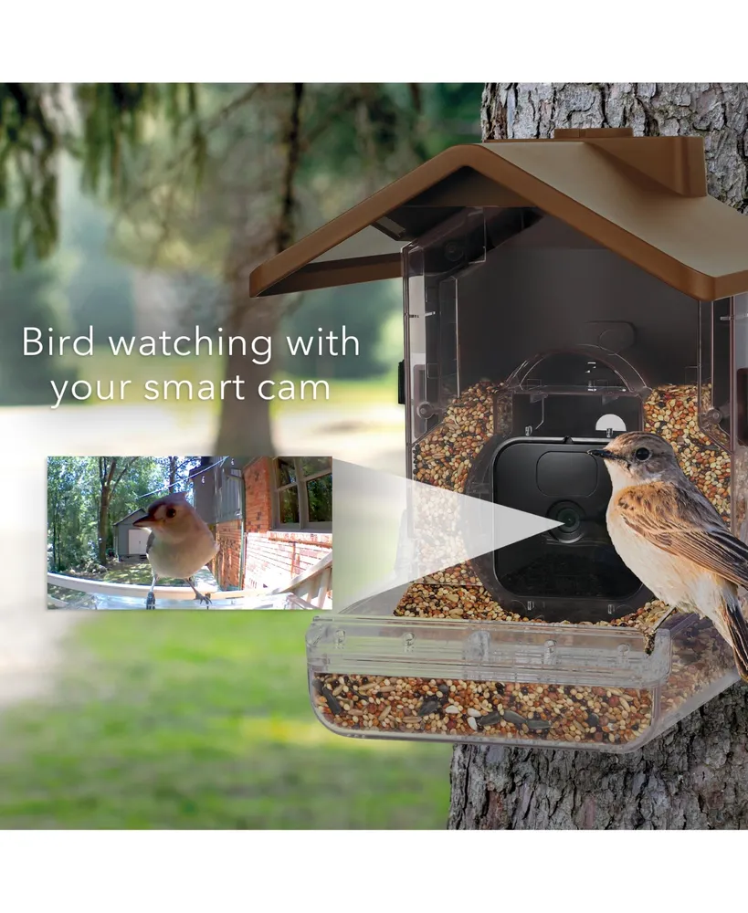Wasserstein Bird Feeder Camera Case Compatible with Blink, Wyze, and Ring Cam - Bird Feeder for Bird Watching with Your Security Cam