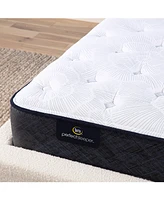 Serta Perfect Sleeper Adoring Night 10.5" Plush Mattress Set