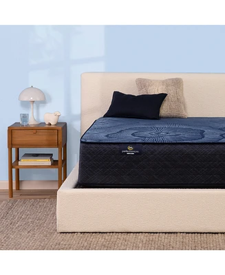 Serta Perfect Sleeper Euphoric Nights 14" Plush Hybrid Mattress Set