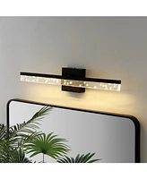 Mario 22" 1-Light Modern Contemporary 360-Degree Rotatable Iron, Seeded Acrylic Integrated Led Vanity Light