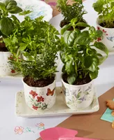 Lenox Butterfly Meadow 3-Piece Herb Pots Tray Set