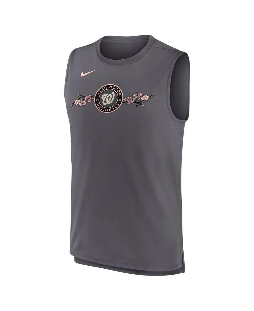 Men's Nike Gray Washington Nationals City Connect Muscle Tank Top