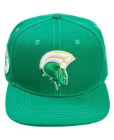 Men's Pro Standard Green Norfolk State Spartans Evergreen Mascot Snapback Hat