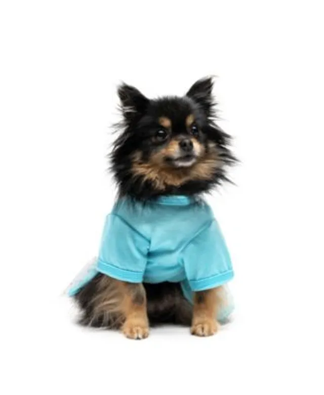 Juicy Couture Hooded Pet Juicy Bling Velour Tracksuit for Small Dogs and  Cats, XSmall/Small - Macy's